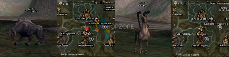 Lineage 2 проход к Валику
