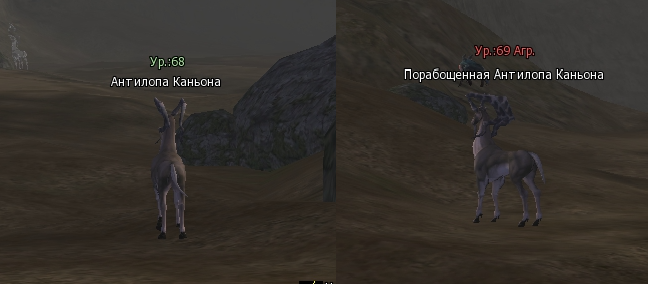 Фринтеза л2 квест